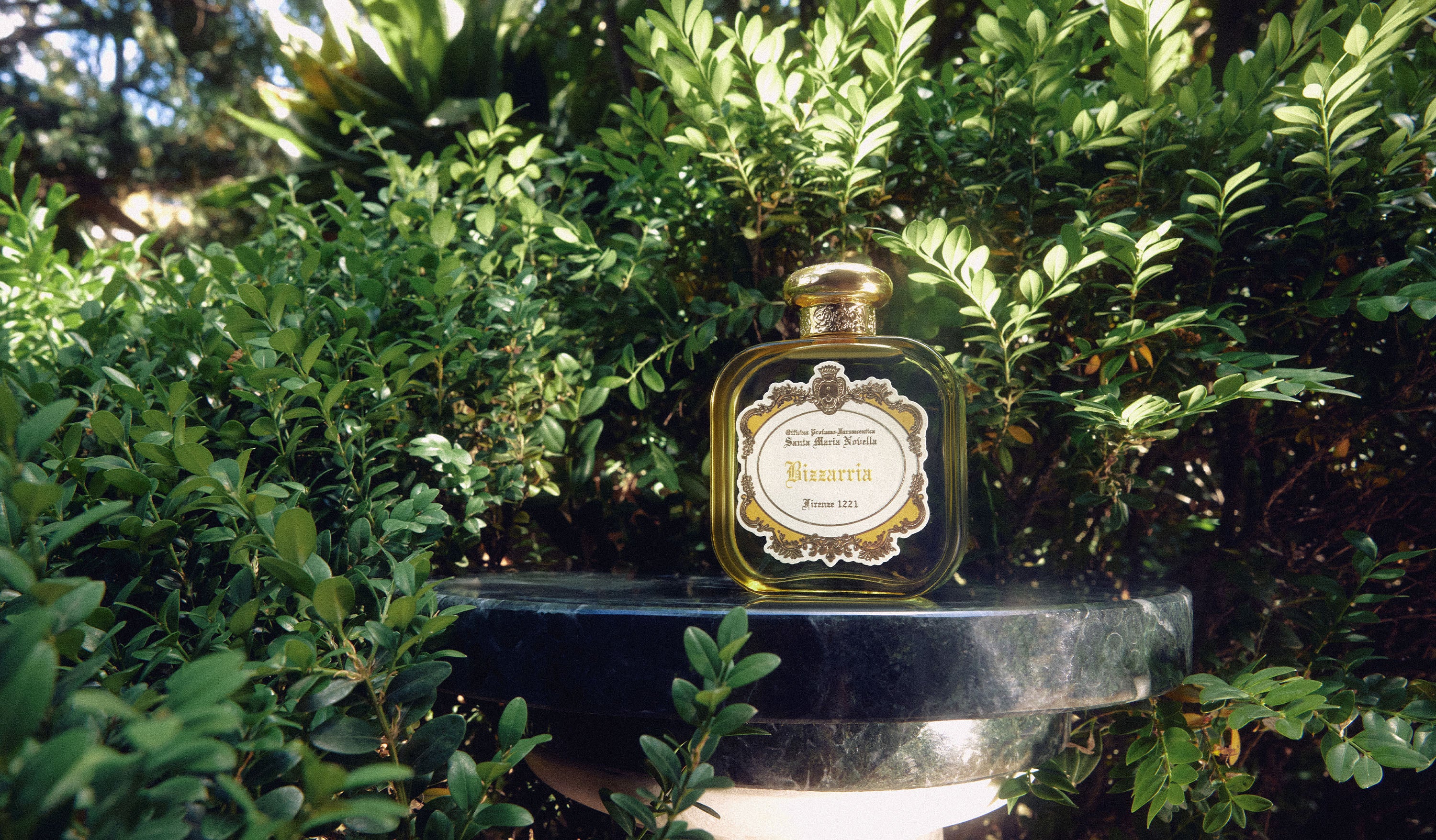 Bizzarria サンタマリアノヴェッラ オードパルファム50ml Bizzarria Eau de Parfum - Santa Maria Novella