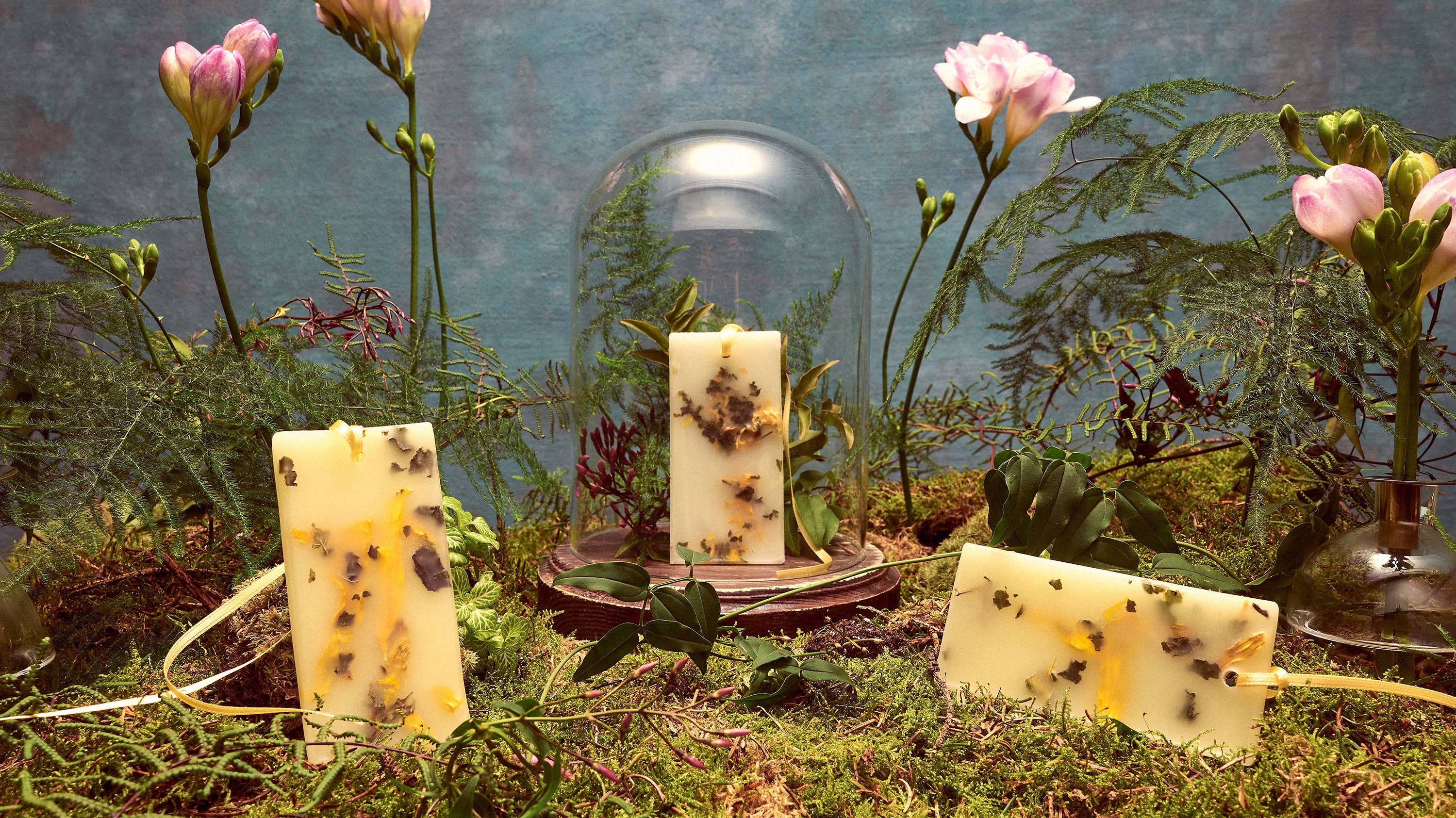 Fresia: Scented Wax Tablets - Santa Maria Novella