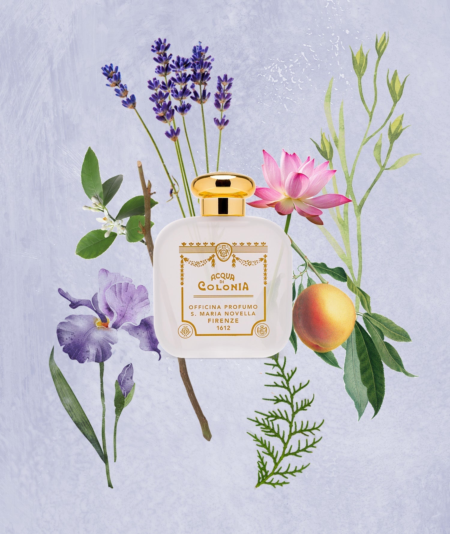 Città di Kyoto – Officina Profumo-Farmaceutica di Santa Maria Novella