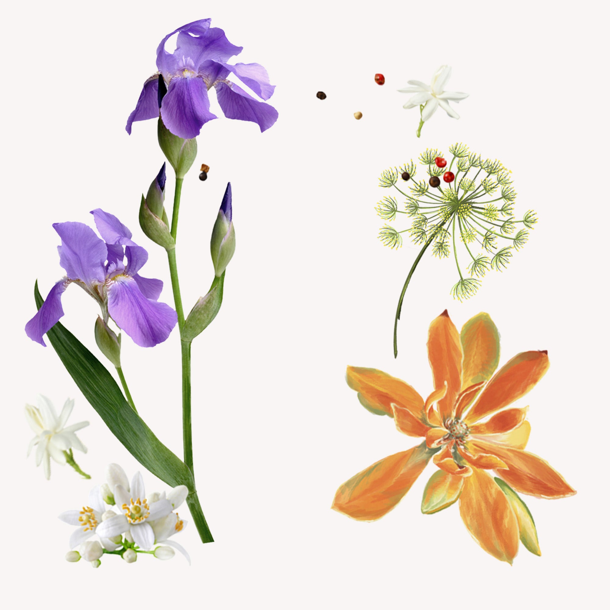 Nuncas Drops Profuma Biancheria Flowers 100 ML- Drogheria Olimpia