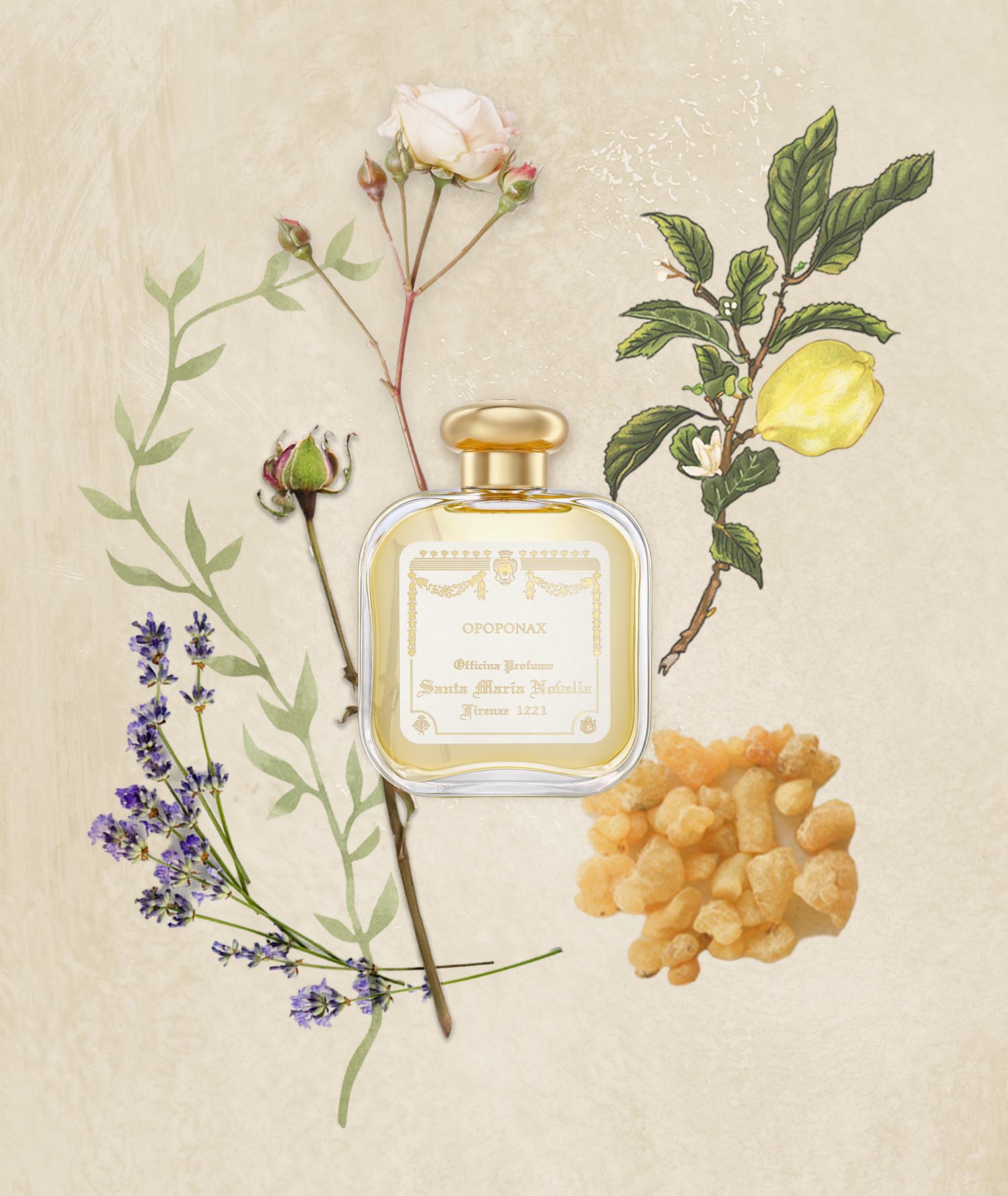Santa Maria Novella オーデコロン 100ml オポポナックス Opoponax: Eau de Cologne - Santa Maria Novella
