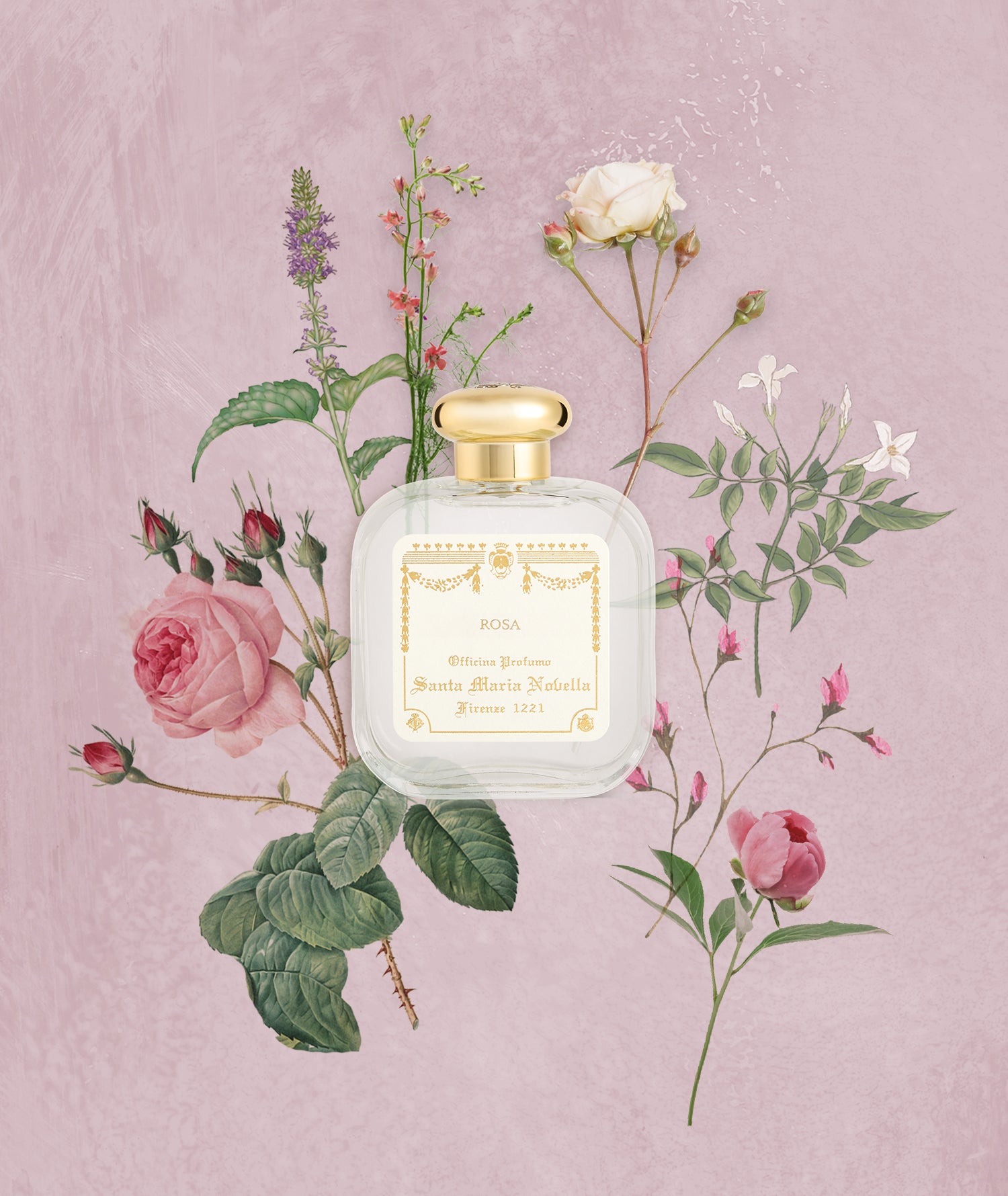 2022高い素材 SANTA MARIA NOVELLA FIRENZE 100ml 香水(女性用