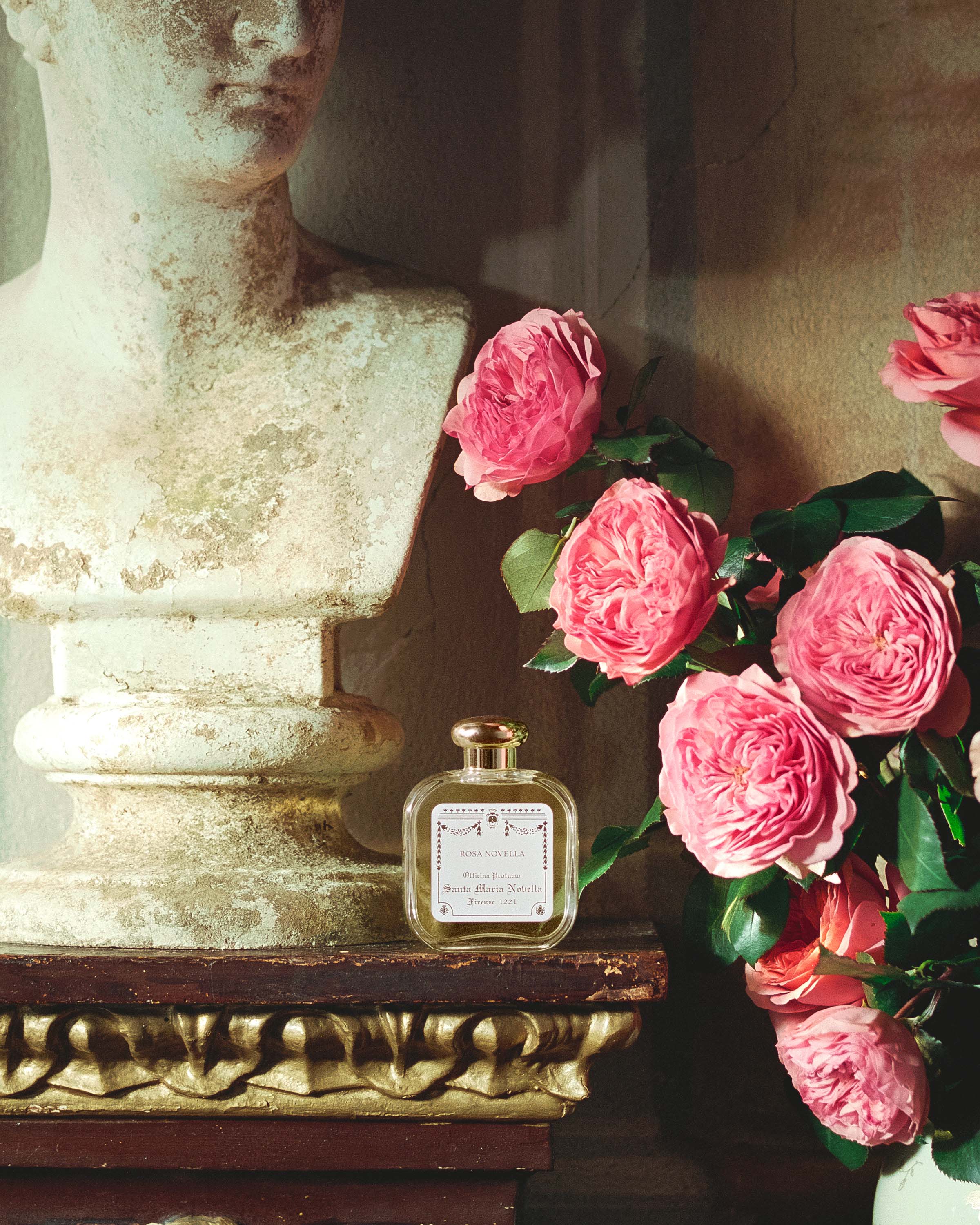 Rosa Novella - Santa Maria Novella