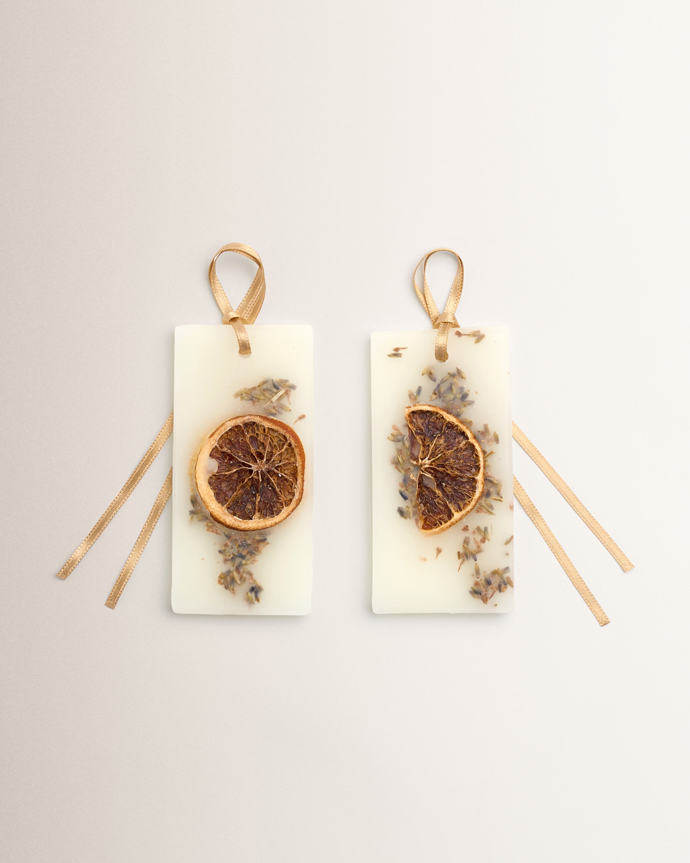 Acqua della Regina: Scented Wax Tablets - Santa Maria Novella
