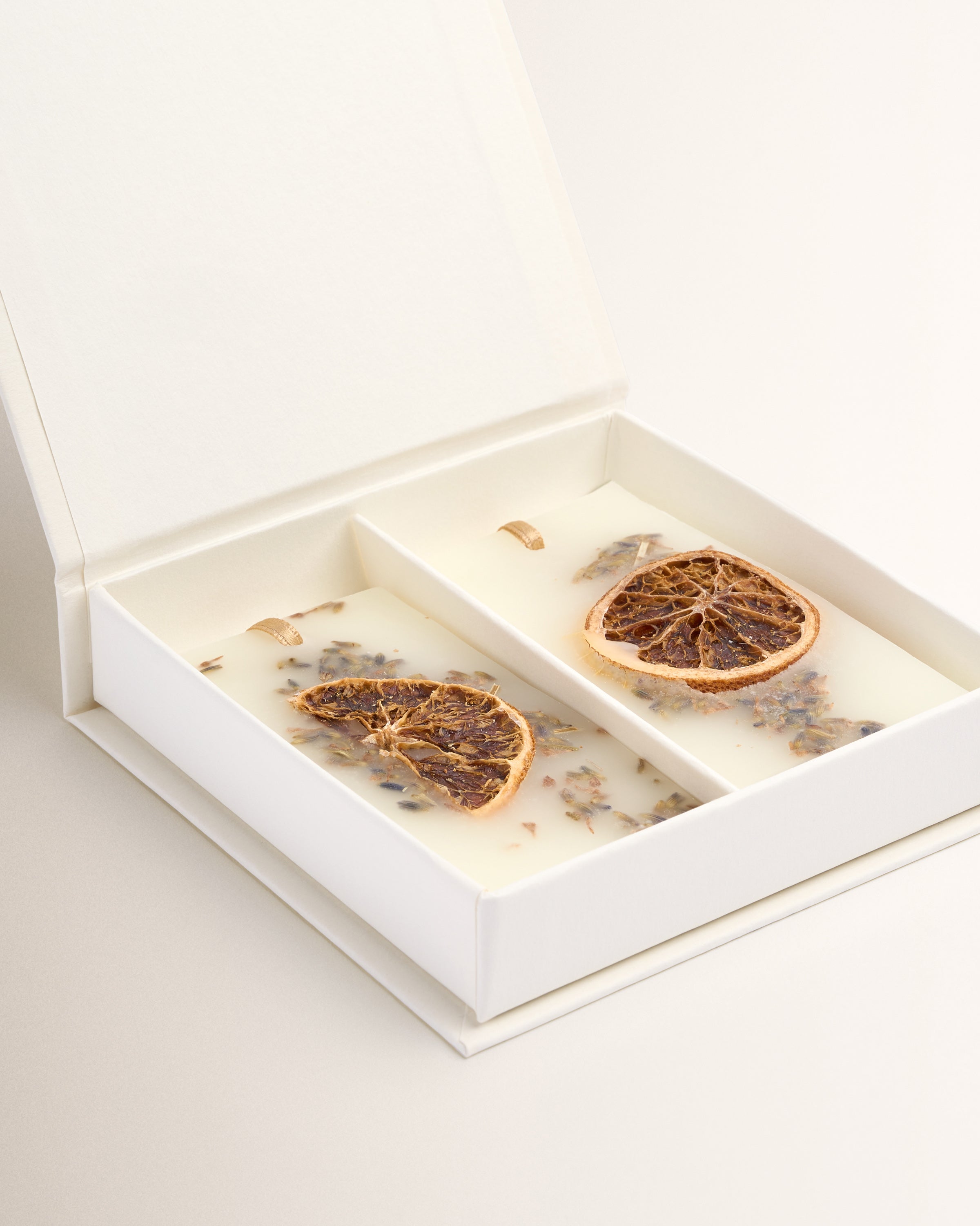 Acqua della Regina: Scented Wax Tablets - Santa Maria Novella