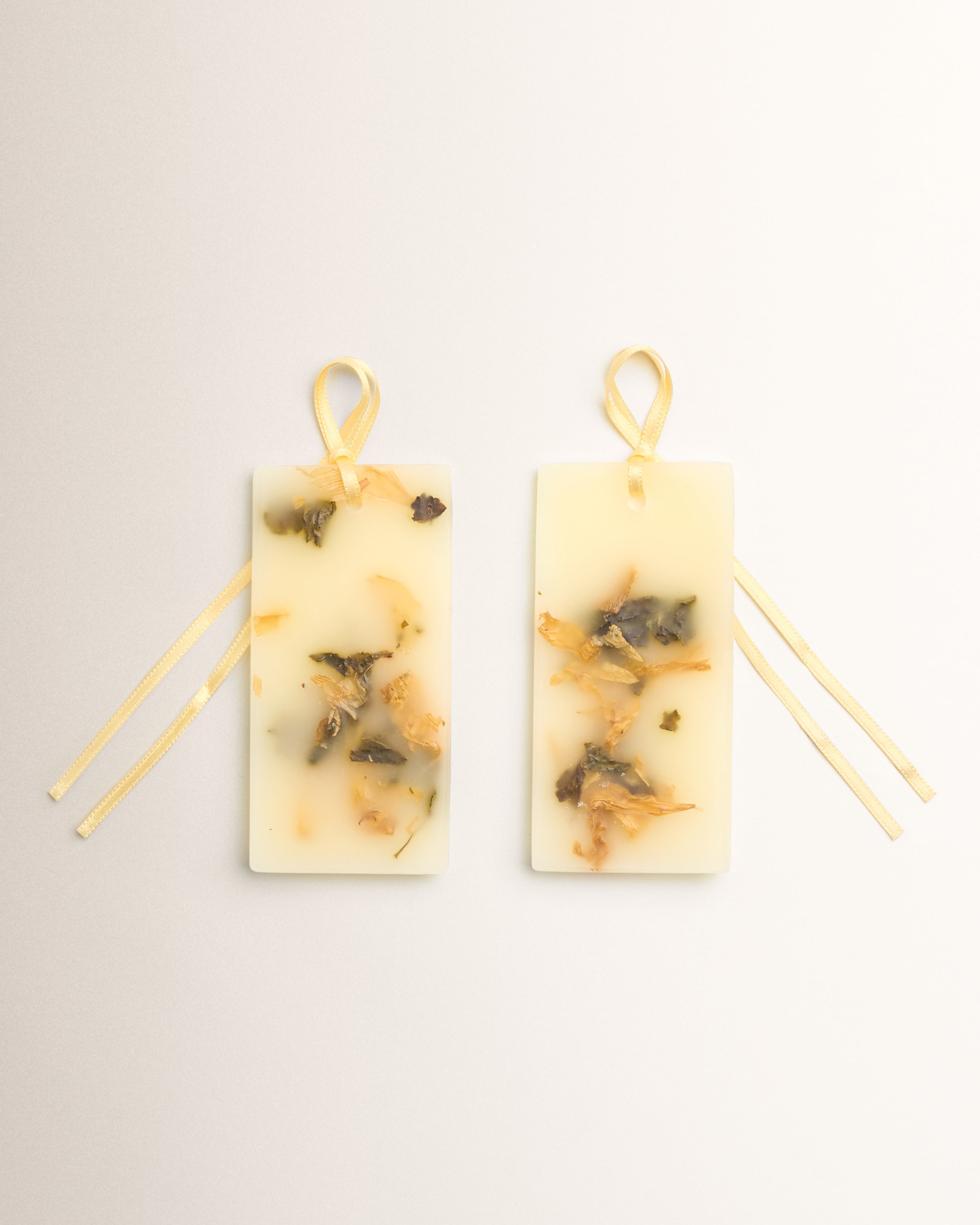 Fresia: Scented Wax Tablets - Santa Maria Novella
