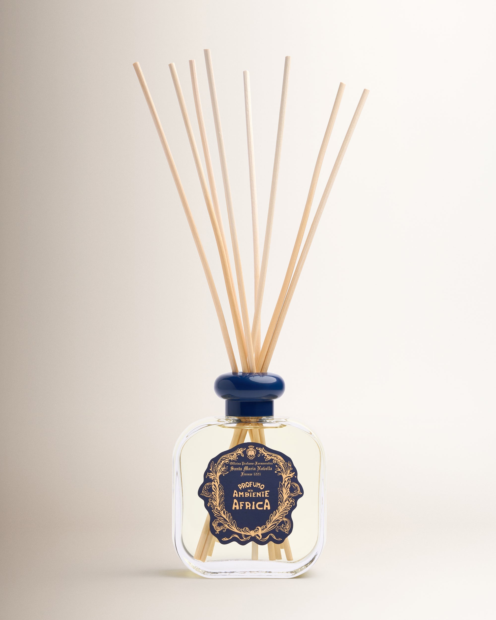 Africa Diffuser