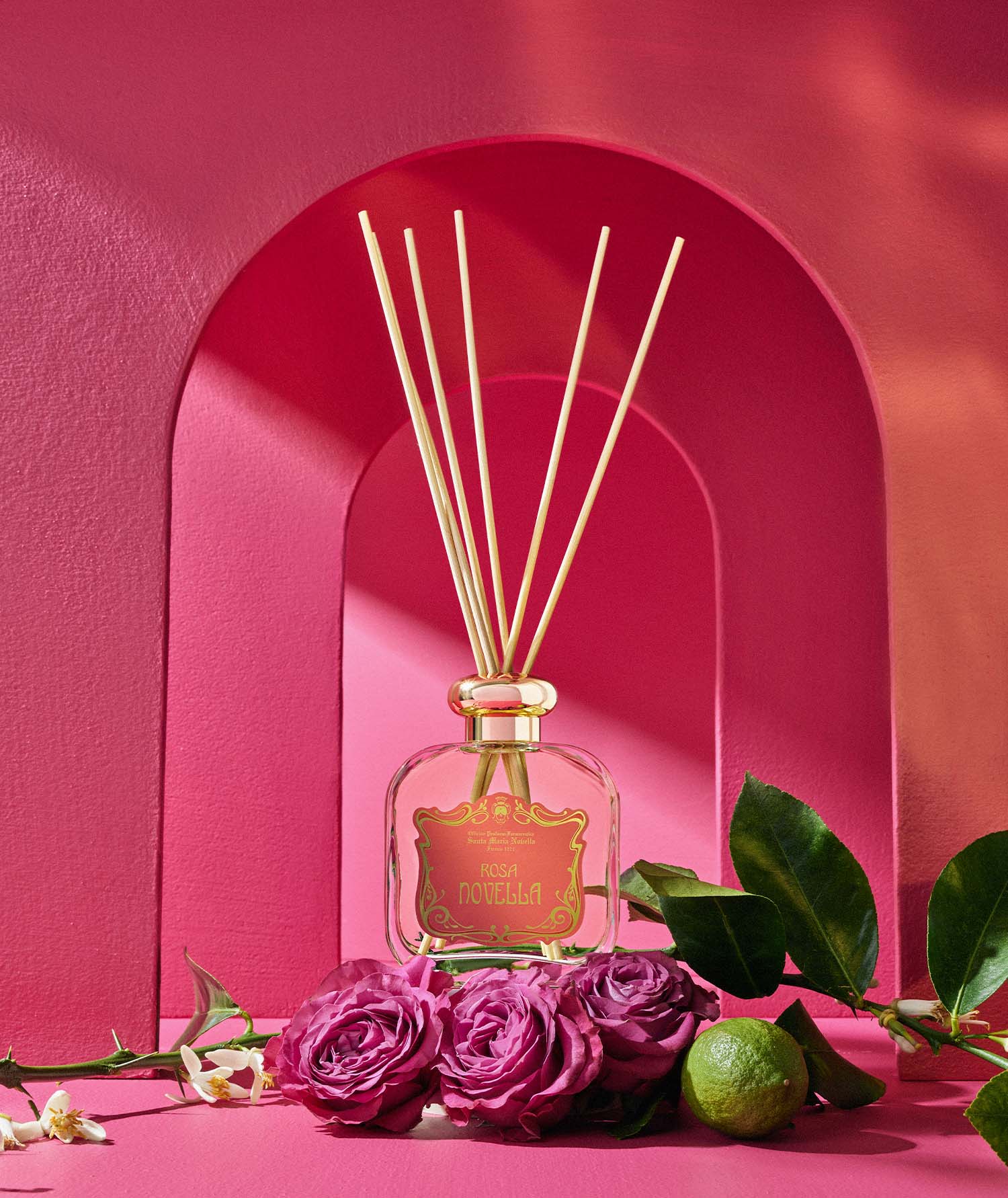 Rosa Novella