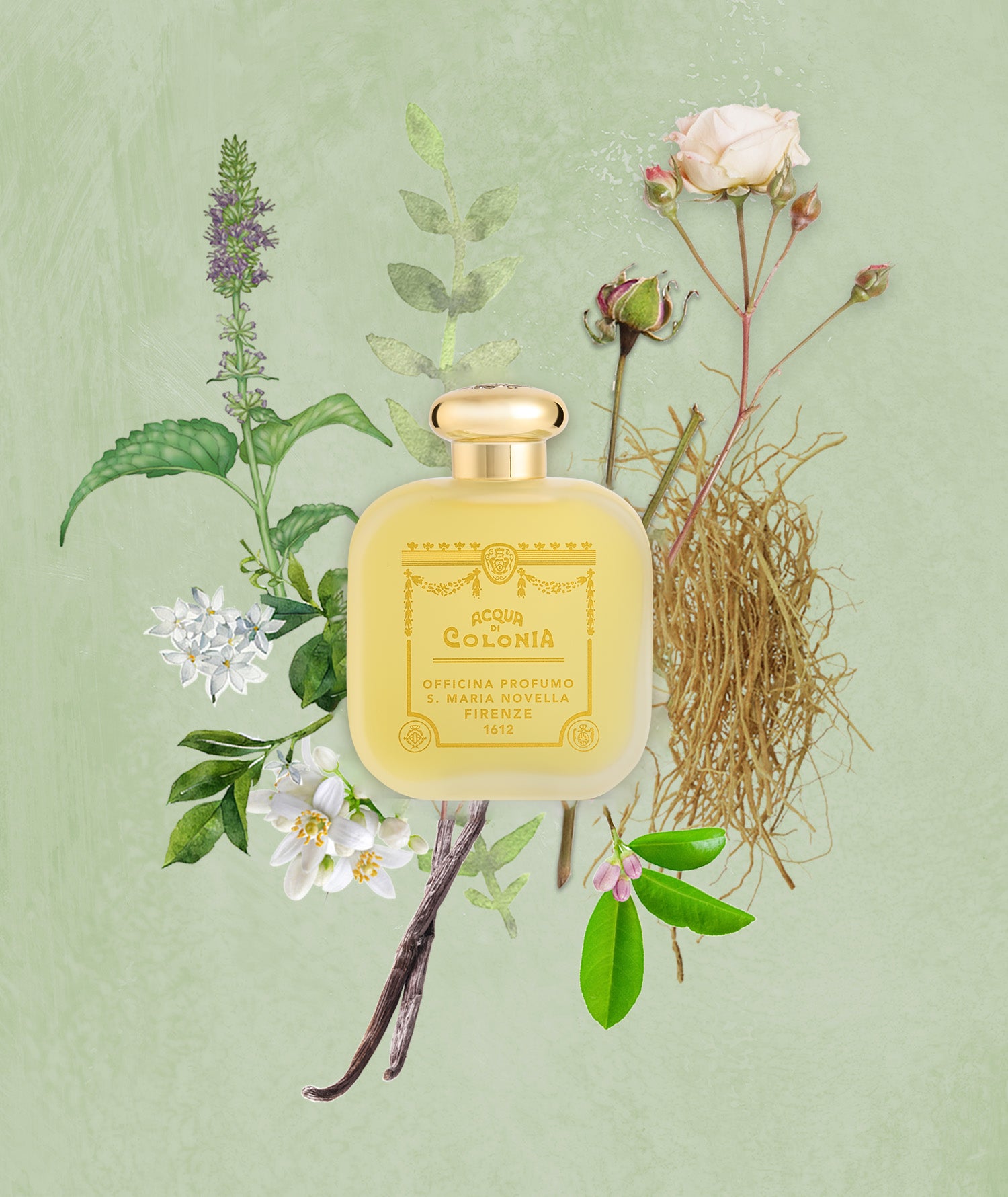 Vetiver: Eau de Cologne - Santa Maria Novella