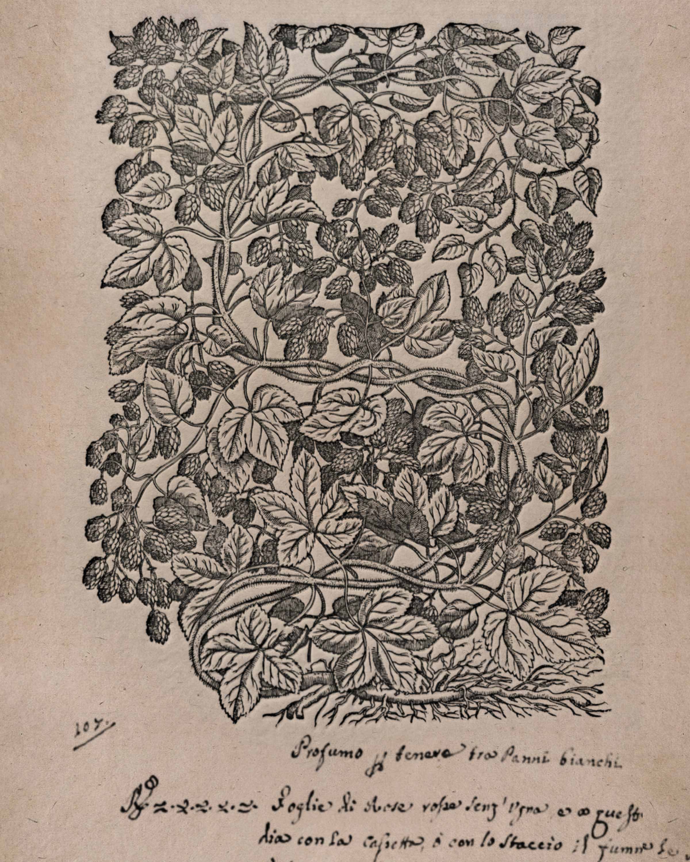 Pot Pourri Bag - Santa Maria Novella